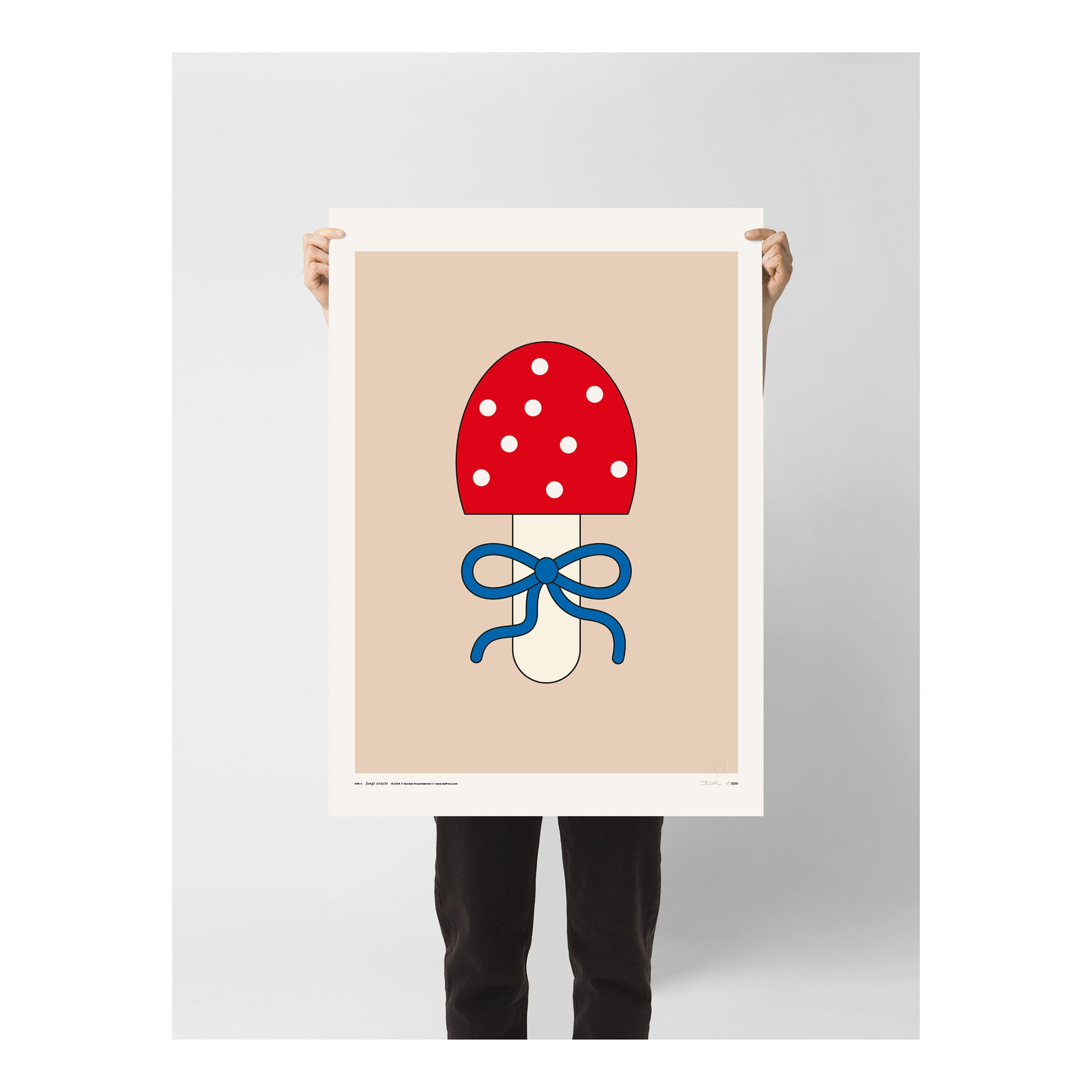 #0811 fungi oracle b2