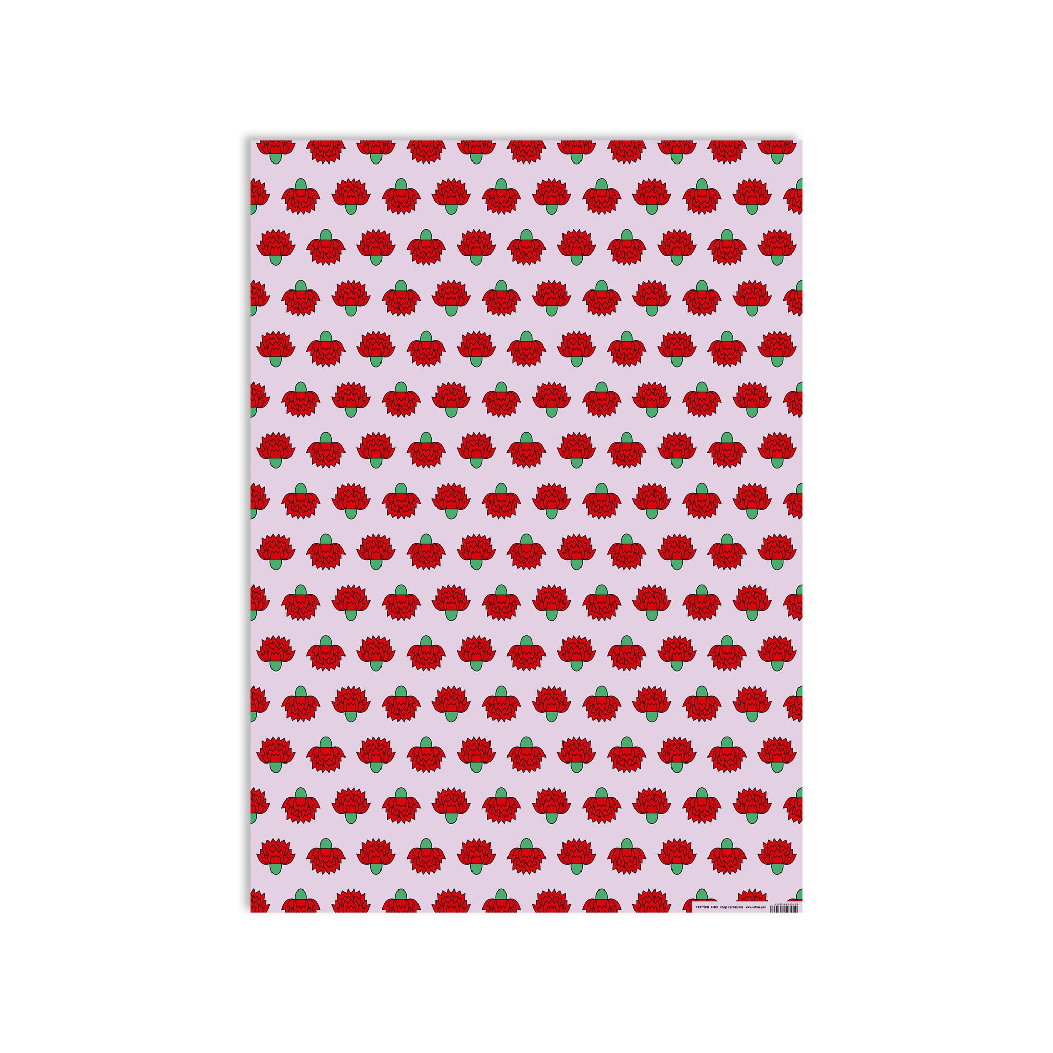 #0525 wrap carnations